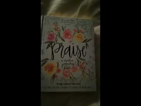 Flip Through Praise: A creative Journaling bible