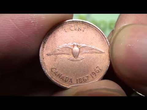 Clean pennies with Vinegar and Salt