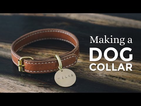 Making a Leather Dog Collar ⧼Week 1/52⧽