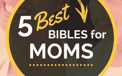 5 Best Bibles for Moms