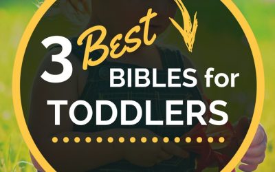 3 Best Bibles for Toddlers