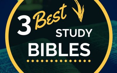 3 Best Study Bibles