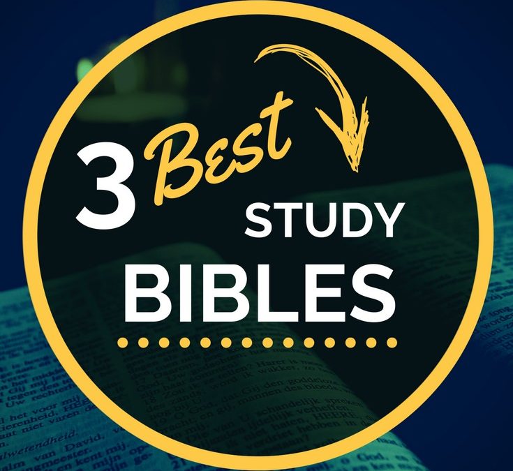 3 Best Study Bibles