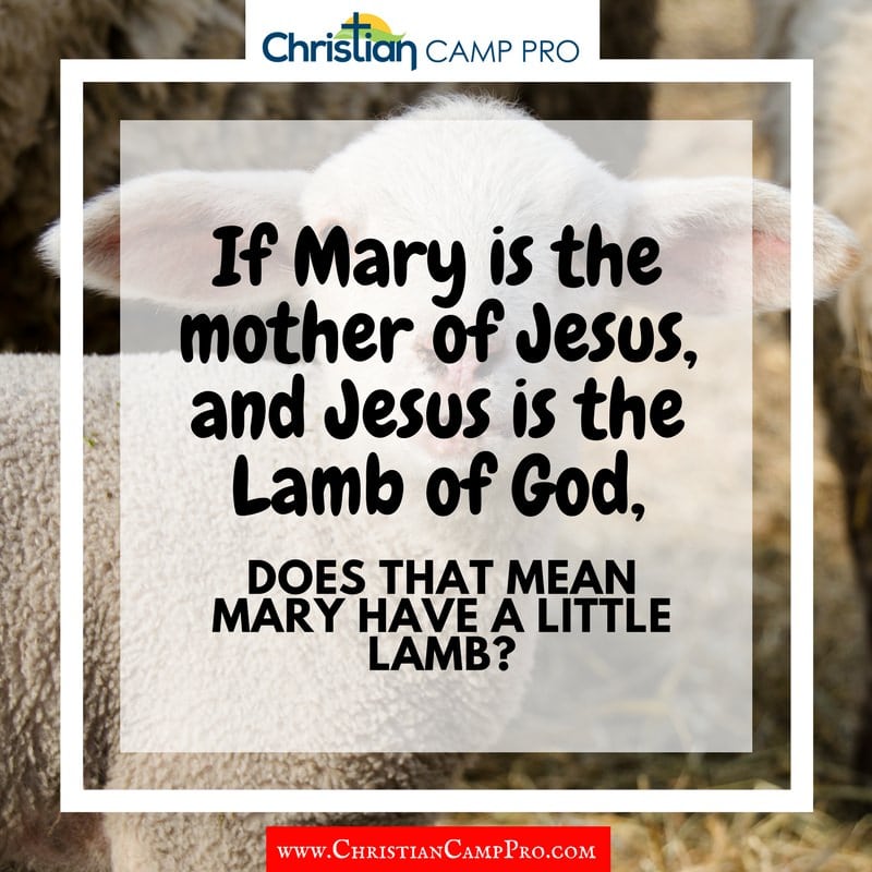 mary had a little lamb joke