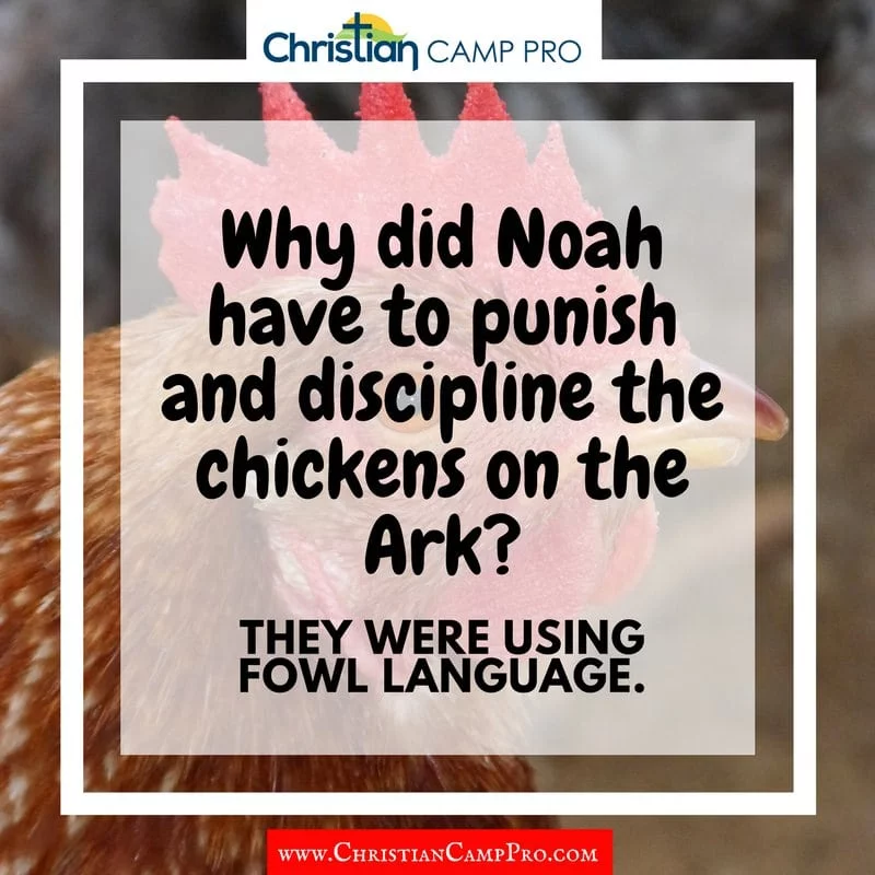 noah punish chickens