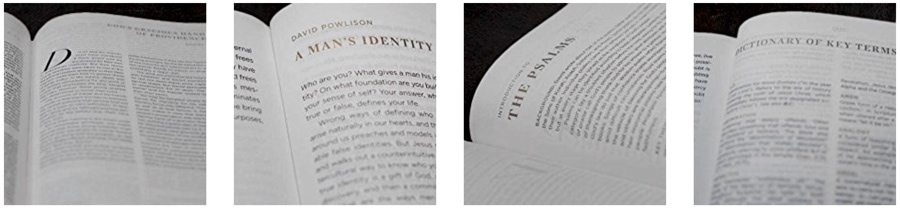 esv-mens-devotional-bible-inside-image