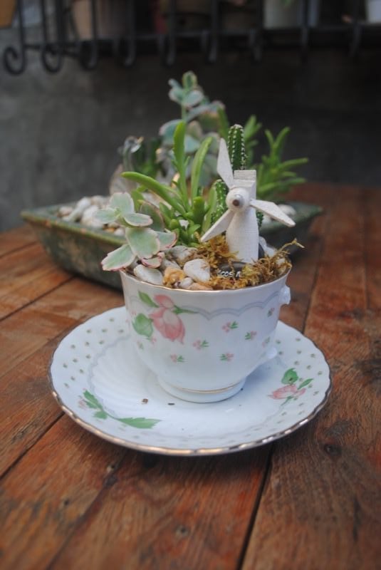 Teacup Diorama 12